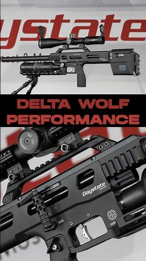 The Daystate Delta Wolf Performance Model Short