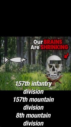 goofy ww2 german insignia #history #ww2 #germany