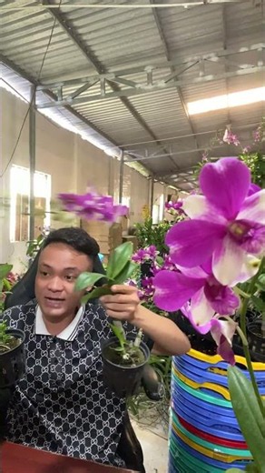 (Check Out The Blooms) Hotline: 090.317.7978 ☎️☎️