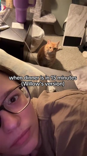 Willow wanted a turn too of course my superstar #projecthailmary #rylandgrace #catmom #cat #orangecats