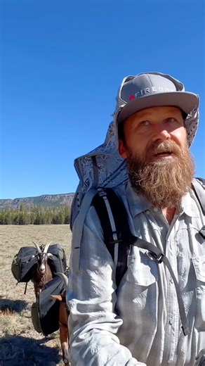 Naughty goat! Lol! JK 😂😊😝 That was a beef steak! My goats are actually wonderful camping companions along with my two dogs! #kampateşi #campfire #campingfood #beef #fireboxstove