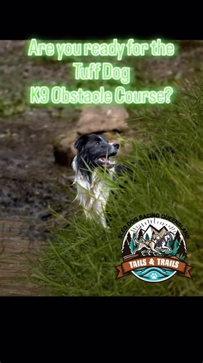 Tuff Dog is back in 2025! 🐾 We have a new location and track, with more then 20 new obstacles for you and your dog to conquer! Run, walk, crawl and wade your way to victory! All com-paw-titors get a custom medal 🏅💪 Entries are open now! Check out the fb event for all the details! https://form.jotform.com/Taikatalvi/sdrq-tails—trails-tuff-dog-2025 #sleddogracingqld #dogsofaustralia🇦🇺 #dogsofinstagram #funrun #obstaclecourse #queenslanddogs #dogsport #tuffdog #fitdogsarehappydogs | Sled Dog R