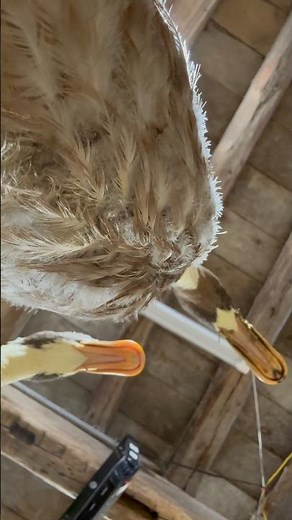 Next week Doug will show you how to clear cookies