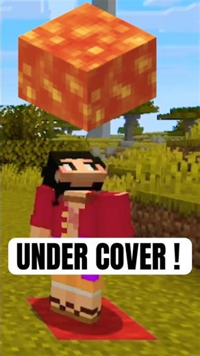 I'm Mister White on Minecraft!