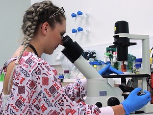 Detection and Isolation of Apoptotic Bodies to High Purity