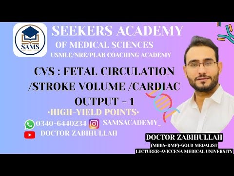 CVS LECTURE #1: FETAL CIRCULATION /CARDIAC OUTPUT AND HEMODYNAMICS BASICS.