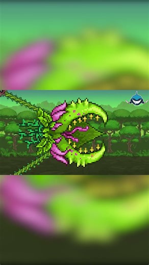 DO NOT TOUCH PLANTERA'S BULB #terraria #calamitymod #gaming