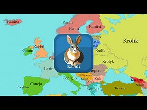 Domestic animals (Rabbit, Rat, Ferret) | Comparison of European Languages