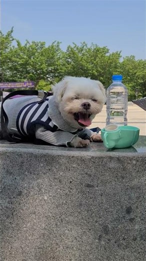 TV에선 절대 볼 수 없는 울봄🤩