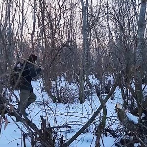 In the forest, I built a shelter! And spent two months there. | Adventures Bushcraft