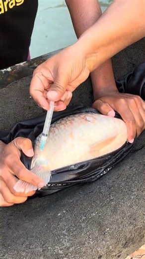 Crap Fish Injection #Shorts