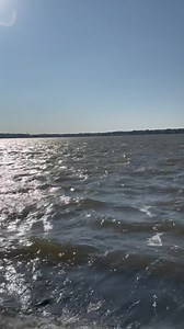 Very windy today in Ocean City. Forecast says that the wind should die down by tomorrow. | OceanCity.com