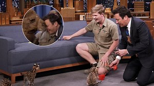 Jimmy Fallon 'Made Out' with Robert Irwin's Camel as Animals Run Amok on 'The Tonight Show'