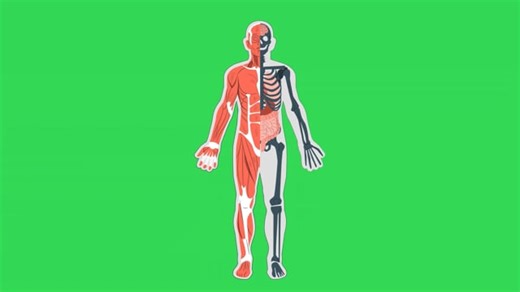 Push Ups, Full Body, Movement