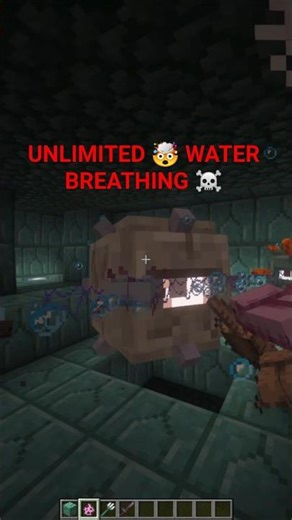 Don’t Ignore This Tree ⚠️🌳