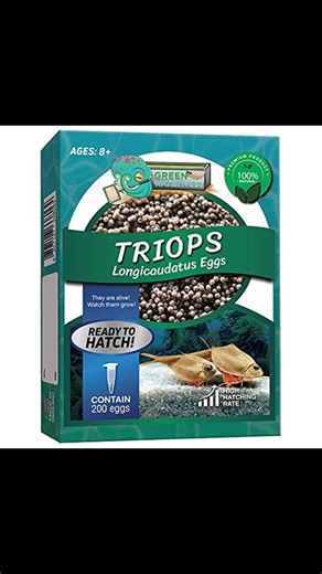 🐾 Dive into a fascinating world with the GreenWaterFarm Triops Longicaudatus Eggs for Hatching and Culture! 🌊 Perfect for both pets and science projects, these 200 pure eggs offer an exciting adventure full of learning and fun!✨ Are you ready to hatch your very own shrimp? Visit us at https://lingrand.com and discover why they make the perfect addition to your pet collection! 🦐💚 Website https://lingrand.com Get it on Amazon: https://www.amazon.com/dp/B095M5RBCS/?tag=sersart2024-20 ⚠️ As an A