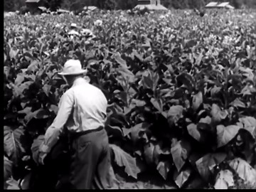 Tobaccoman's Sixth Sense, The (1949)