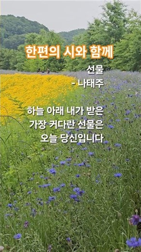 오늘 제가 받은 가장 커다란 선물은 바로 "당신"입니다 #선물 #나태주 #감성시 #악양생태공원 #시한편 #힐링영상 #마음치유 #위로 #마음정화 #시니어건강 #참좋은하루야