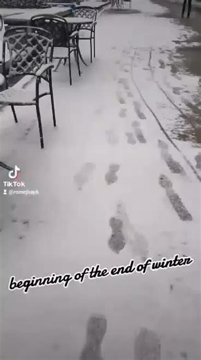 pretty princess on TikTok