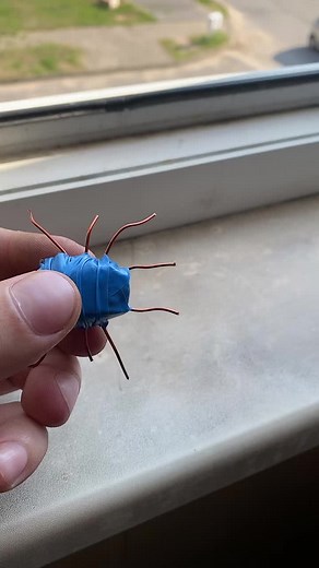 Handmade Bug Art: Unique Crafting Creations