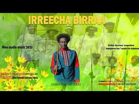 Irreecha Birraa. Sabboonaa Tafarraa Sirba Haaraa Afaan Oromoo Bara 2023
