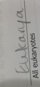 What are the characteristics of eukaryotes?List and explain t... | Filo