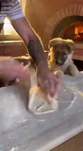 POV: Tus nuevos sous chefs tienen 10 semanas y cero experiencia 👨‍🍳