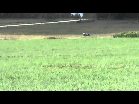 what a 223 bullet sounds like