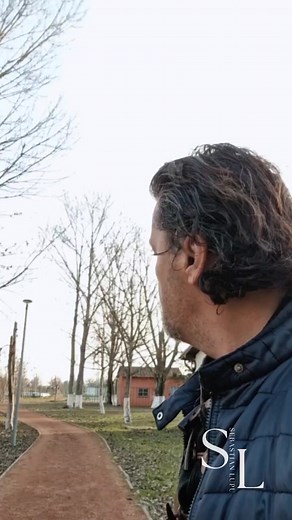 1.8M views · 28K reactions | Filme americane | Sebastian Lupu artist | Facebook