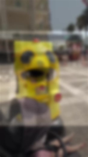 Paula Miller on TikTok