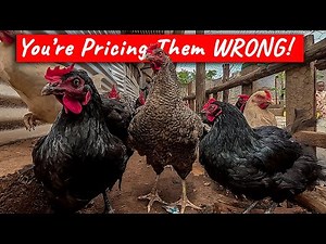 Why 99% of Local Poultry Farmers FAIL (Because of This One Thing!)