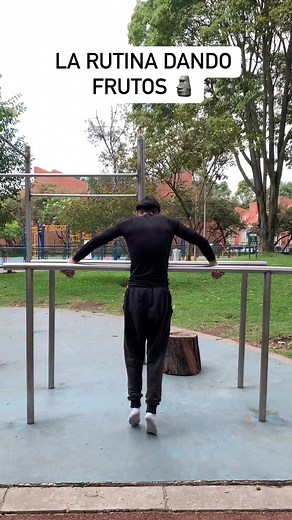 Front lever sat? 🗿 #calistenia #frontlever | Danieltorres_x