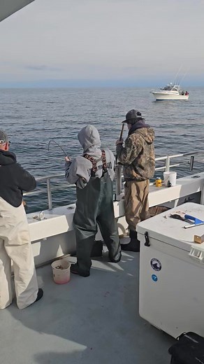 34K views · 213 reactions | Should be back up and running by the weekend. Chartered Sunday, taking reservations for Saturday. Fishing every day the weather is fit! Let me know ehen you want to go! Video from friday for attention... | Atlantic Adventure | Facebook