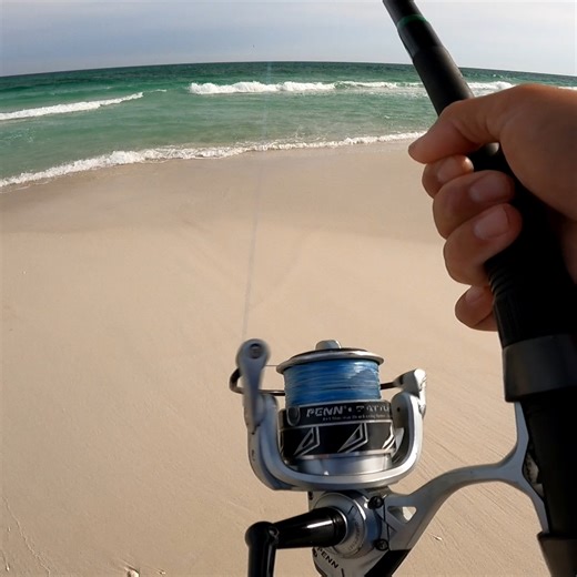 99K views · 1.2K reactions | Best Sound in the World? | Justin Reed Fishing | Facebook