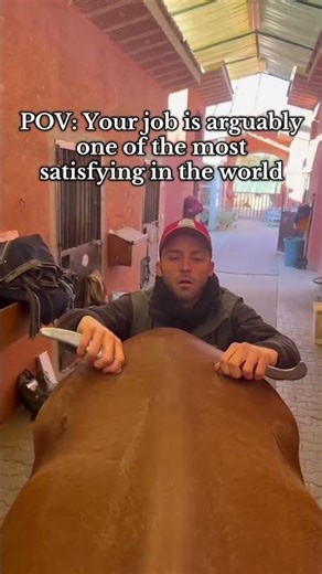 The Horse Back Crack That Shocked 88 Million People 🤯🔊