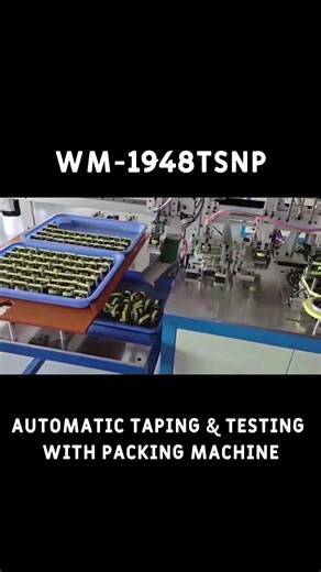 Automatic Taping, Testing & Packing Machine WM 1948TSNP