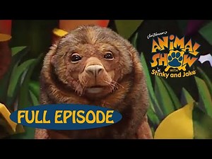 Animal Show | Shark 🦈 / Sea Lion | Jim Henson Family Hub | Kids Cartoon