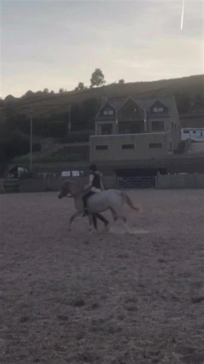 Riding a Pony Bareback: A Trotting Adventure 🐴