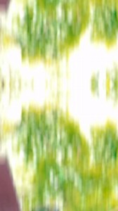 65K views · 2.8K reactions | ️ 殺tip tip barsata Pani ️ #facebookpostシ #varshadancer #sawanspecial #bolbamreels #mostpopular #facebookreelsviral #trendingvideo #short #viraldance #dancelover #bhakti ️☺️珞殺殺殺 | Varsha Dancer | Facebook