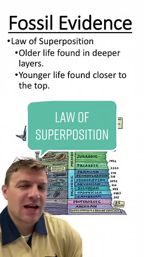Understanding the Law of Superposition in Biology and Geology