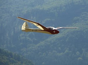 PWS 101 1:3 - OldGliders - modele RC