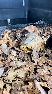 2.9K views · 530 reactions | It’s officially cozy season 笠 During...