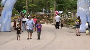 2.2K views · 28 reactions | Just announced today! The Cleveland Metroparks Zoo is extending the Asian Lantern Festival through September 17! Link in bio for new dates and tickets. | WKYC Channel 3 - Cleveland | Facebook