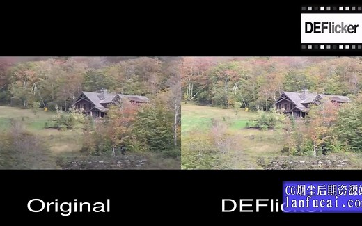 视频去闪烁AEPR插件 REVisionFX DEFlicker v2.0.1 WinMac