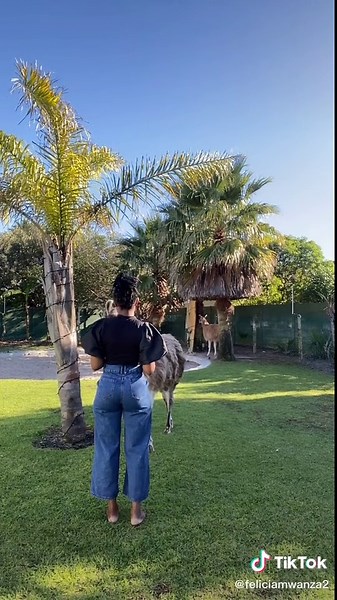 Woman Interacts with Llama in Beautiful Outdoor Setting