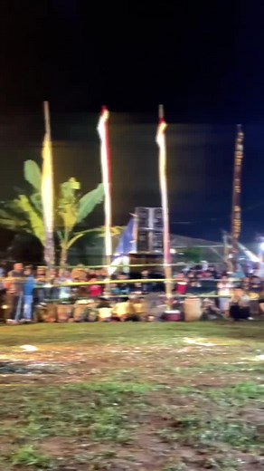Pesona bopone ararek🤩 Bopo sutikno🙌💥🤪🔥#bantengan #brangwetan #wijoyokebodungkul🔥 #wkdofficialteam #seniadalahledakan💥 #fypp #fypシ