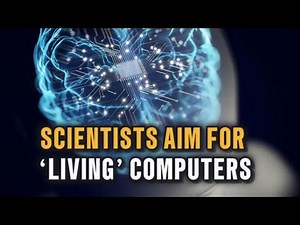 Scientists want to build 'living' computers—powered by live brain cells
