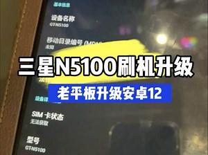 三星老平板N5100刷机升级安卓12系统解决无法安装应用问题