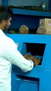 Mastering the Art of Coconut Dehusking: Easy Techniques & Tips for Efficient Dehusking🫣 97910 59456📱 #coconutbusiness #coconutfarmers #coconutfarming #coconutfarmer #coconutfarm #coconut #coconutdehusker #trending #reels #farmmachinery #farmequipment #farming | Kovai Classic Industries