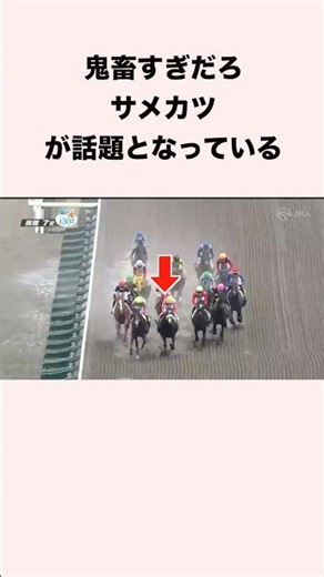 That's way too brutal: Samekatsu is causing a stir #horseracing #horseracingpredictions #shorts